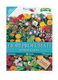 Fiori Profumati In Miscuglio