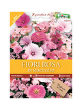 Fiori Rosa