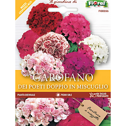 Semi di Garofano dei Poeti Doppio