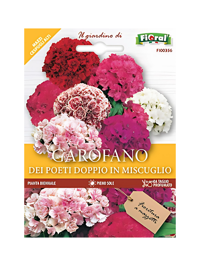 Semi di Garofano dei Poeti Doppio