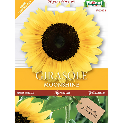 Semi di Girasole Moonshine