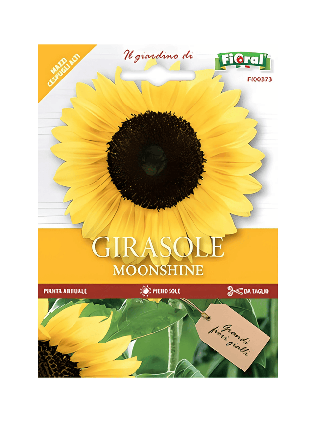 Semi di Girasole Moonshine - EUROGARDEN