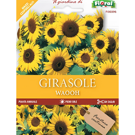 Semi di Girasole WaOOH