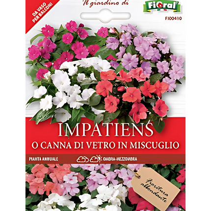 Semi di Impatiens o Canna di Vetro