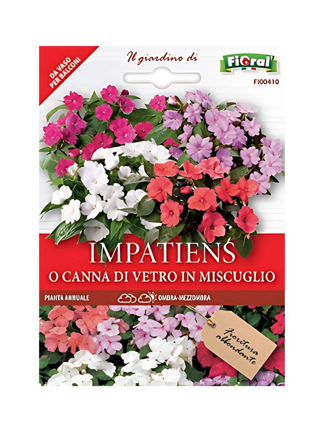 Semi di Impatiens o Canna di Vetro