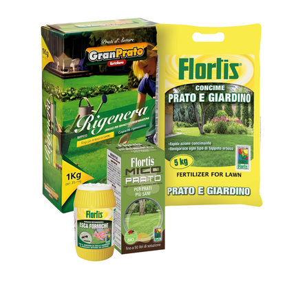 Kit Rigenera Prato – Per Rinfoltire e Rigenerare il Tappeto Erboso - EUROGARDEN