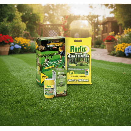 Kit Rigenera Prato – Per Rinfoltire e Rigenerare il Tappeto Erboso - EUROGARDEN