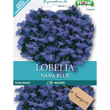 Semi di Lobelia Nana Blue