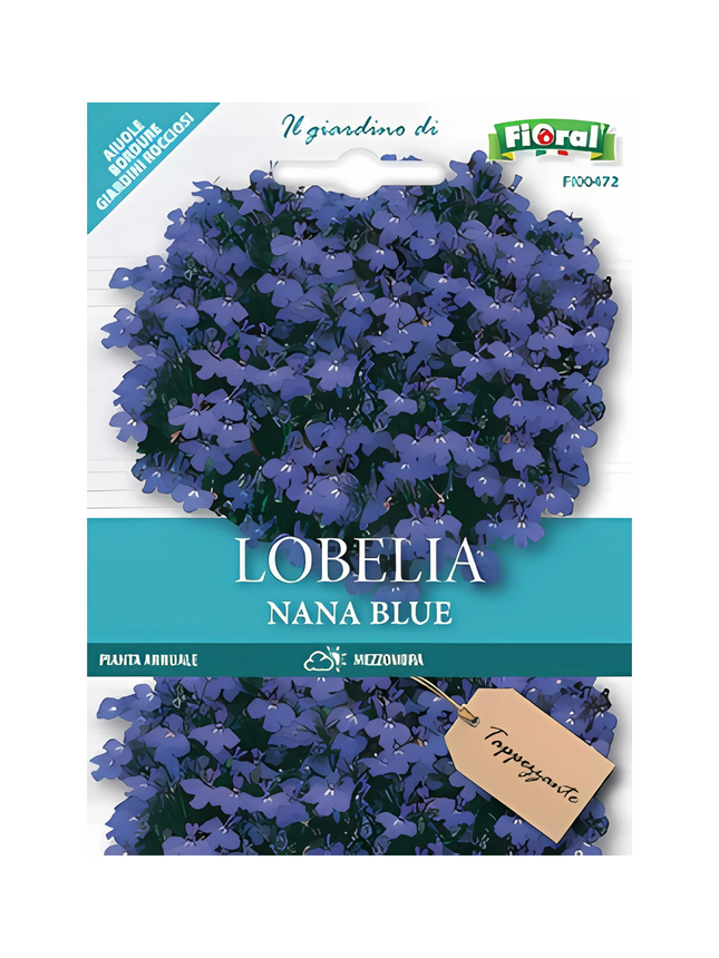 Semi di Lobelia Nana Blue