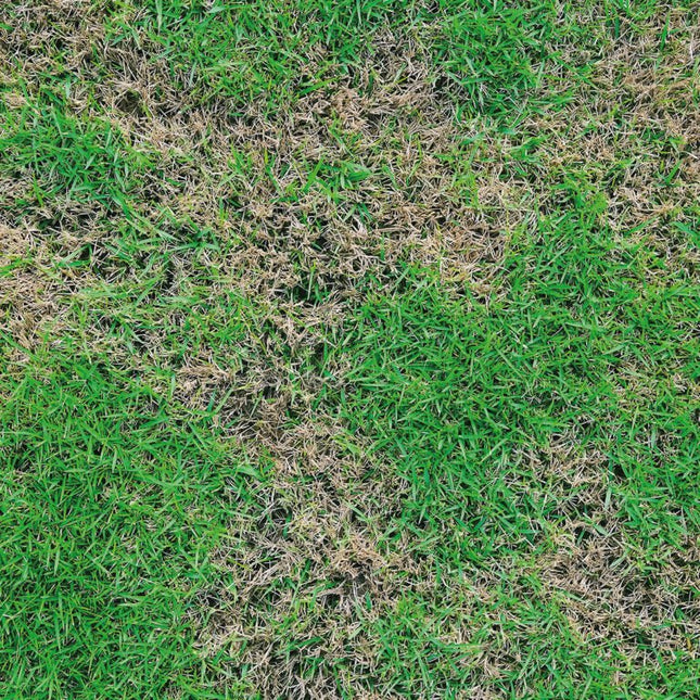Tricospeed Bio 500 gr - EUROGARDEN