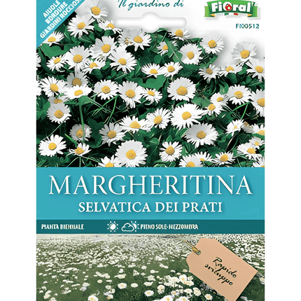 Semi di Margherita Selvatica dei Prati - EUROGARDEN
