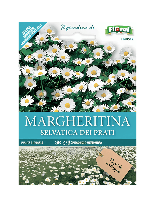 Semi di Margherita Selvatica dei Prati - EUROGARDEN