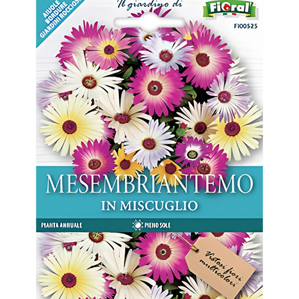Semi di Mesembriantemo