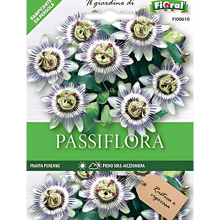 Semi di Passiflora