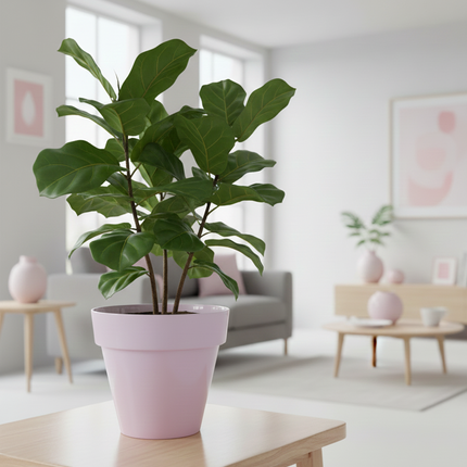 Coprivaso  Plastica Lavanda 18 cm