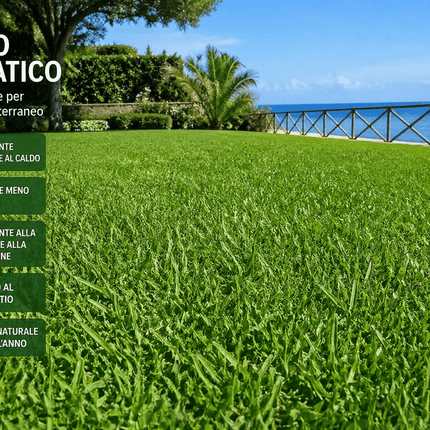 Semi Prato Adriatico 1 kg – Miscuglio Resistente al Sole - EUROGARDEN