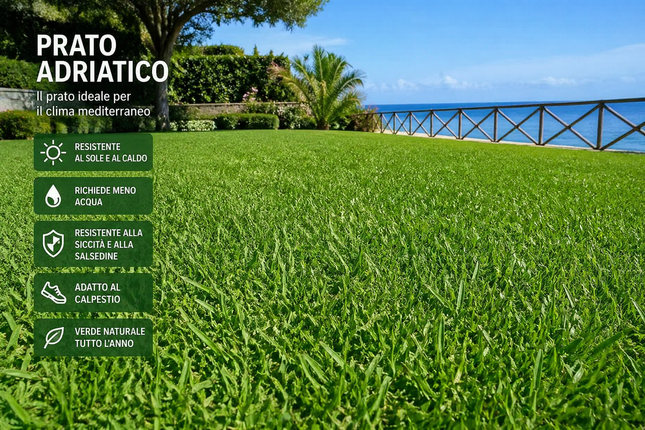 Semi Prato Adriatico 1 kg – Miscuglio Resistente al Sole