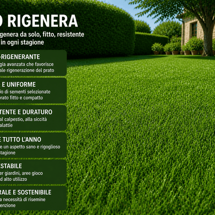 Semi Prato Rigenera 1 kg - EUROGARDEN