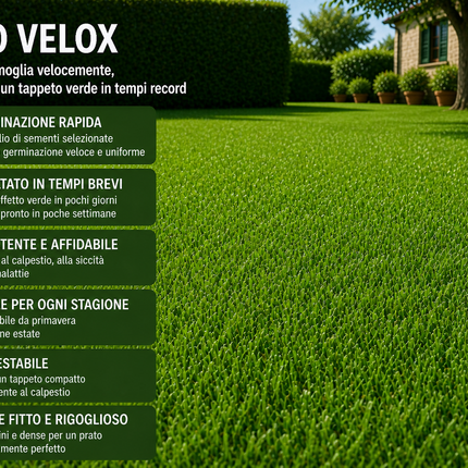 Semi Prato Velox 1 kg – Miscuglio a Rapida Crescita