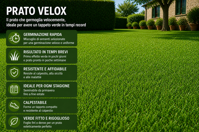 Semi Prato Velox 1 kg – Miscuglio a Rapida Crescita
