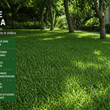 Semi Prato Verde Ombra 1 kg – Miscuglio per Zone Ombreggiate