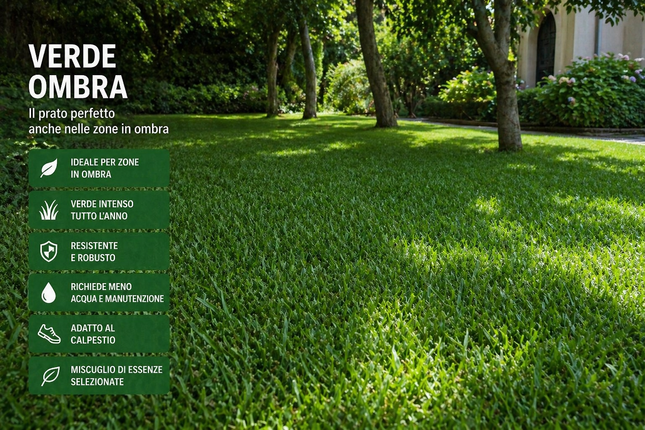 Semi Prato Verde Ombra 1 kg – Miscuglio per Zone Ombreggiate