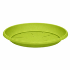 Verde Lime