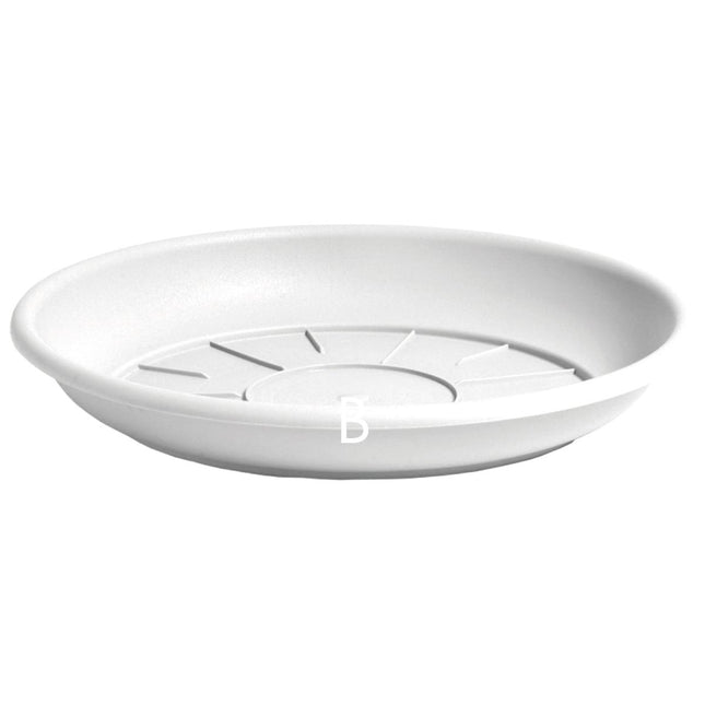 Domus Saucer 20 cm