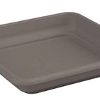 dove grey