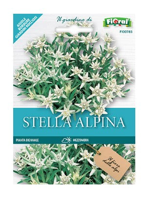 Semi di Stella Alpina – Edelweiss