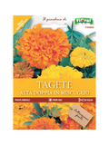 Tagete Alta Doppia