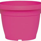 Fucsia / Ø 30