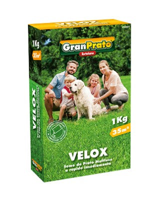 Semi Prato Velox 1 kg – Miscuglio a Rapida Crescita