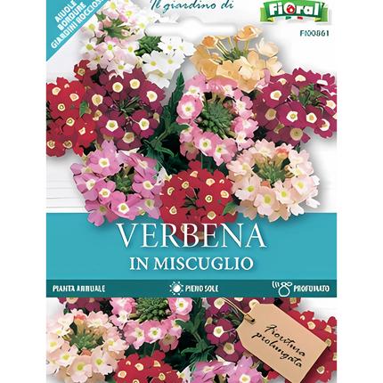 Semi di Verbena - EUROGARDEN