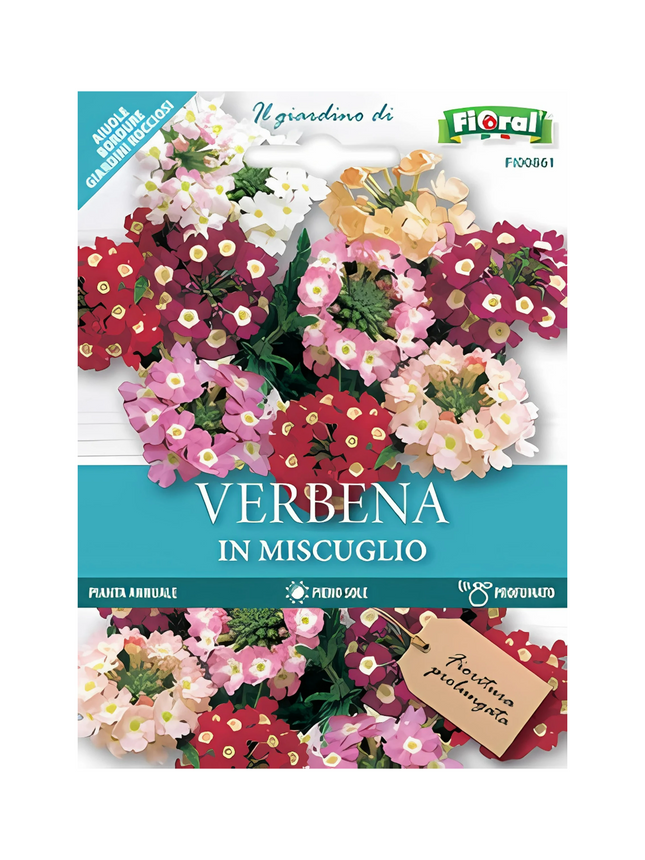 Semi di Verbena