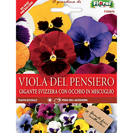 Semi di Viola del Pensiero
