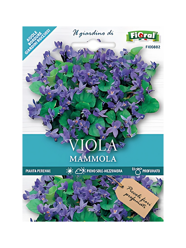 Semi di Viola Mammola