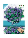 Viola Mammola