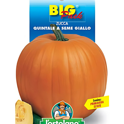 Semi di Zucca Quintale a Seme Giallo