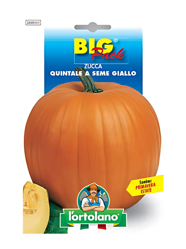 Yellow Seeded Pumpkin